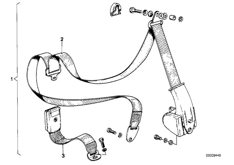 Veiligheidsriem achter